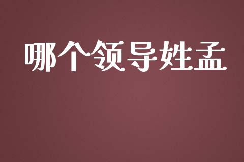 哪个领导姓孟_https://m.apzhendong.com_财经资讯_第1张