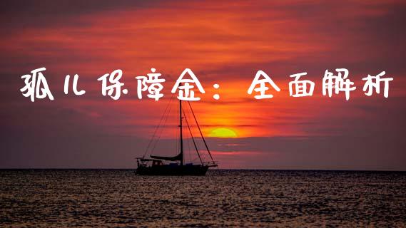 孤儿保障金：全面解析_https://m.apzhendong.com_财务分析_第1张