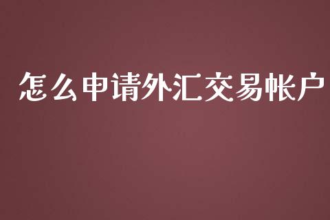 怎么申请外汇交易帐户_https://m.apzhendong.com_财务分析_第1张