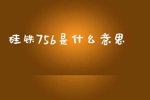 硅铁75b是什么意思_https://m.apzhendong.com_财务分析_第1张