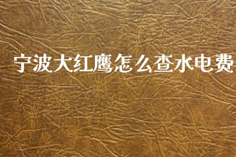 宁波大红鹰怎么查水电费_https://m.apzhendong.com_期货行情_第1张