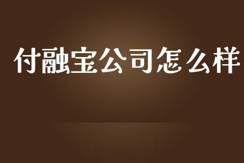 付融宝公司怎么样_https://m.apzhendong.com_期货行情_第1张