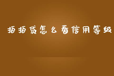 拍拍贷怎么看信用等级_https://m.apzhendong.com_财经资讯_第1张