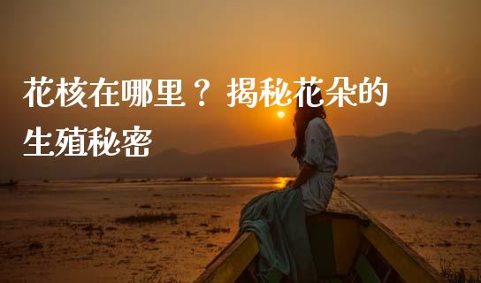 花核在哪里？ 揭秘花朵的生殖秘密_https://m.apzhendong.com_财务分析_第1张