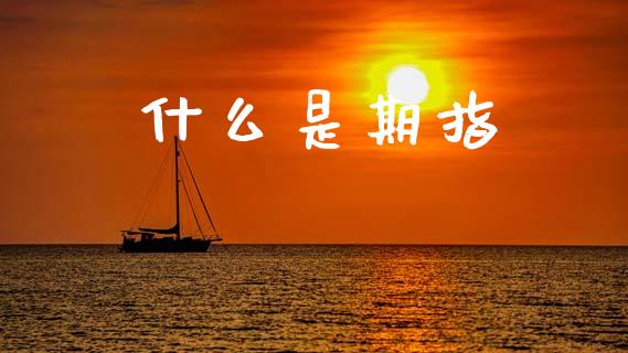 什么是期指_https://m.apzhendong.com_期货行情_第1张