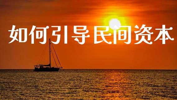 如何引导民间资本_https://m.apzhendong.com_全球经济_第1张