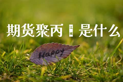 期货聚丙烯是什么_https://m.apzhendong.com_财经资讯_第1张