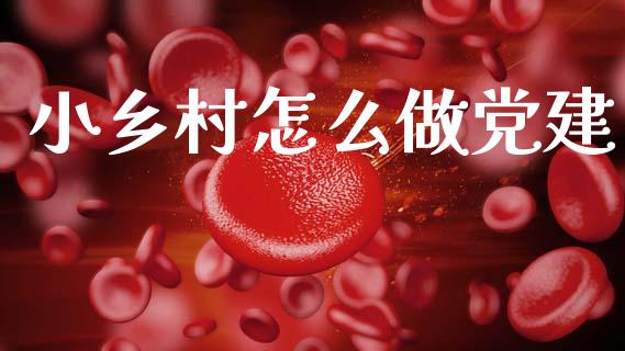 小乡村怎么做党建_财经资讯_第1张_财经资讯_财务分析_全球经济_期货行情 小乡村怎么做党建_https://m.apzhendong.com_财经资讯_第1张