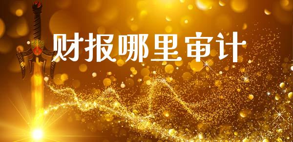 财报哪里审计_https://m.apzhendong.com_期货行情_第1张