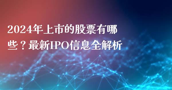 2024年上市的股票有哪些？最新IPO信息全解析_https://m.apzhendong.com_财务分析_第1张