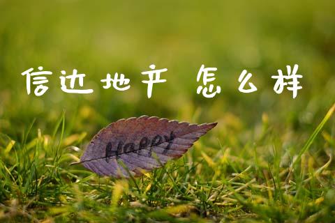 信达地产 怎么样_https://m.apzhendong.com_全球经济_第1张