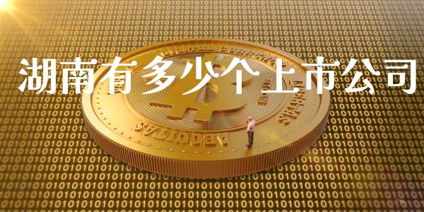湖南有多少个上市公司_https://m.apzhendong.com_财务分析_第1张