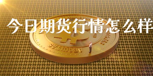 今日期货行情怎么样_https://m.apzhendong.com_财务分析_第1张