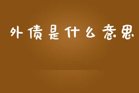 外债是什么意思_https://m.apzhendong.com_全球经济_第1张