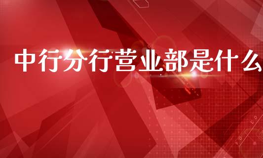中行分行营业部是什么_https://m.apzhendong.com_期货行情_第1张