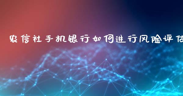 农信社手机银行如何进行风险评估_https://m.apzhendong.com_财经资讯_第1张