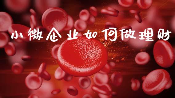 小微企业如何做理财_https://m.apzhendong.com_财务分析_第1张
