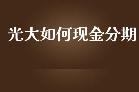 光大如何现金分期_https://m.apzhendong.com_全球经济_第1张