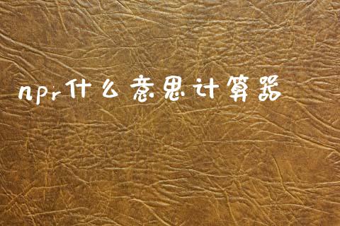 npr什么意思计算器_https://m.apzhendong.com_期货行情_第1张
