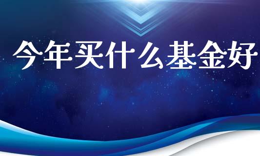 今年买什么基金好_https://m.apzhendong.com_期货行情_第1张