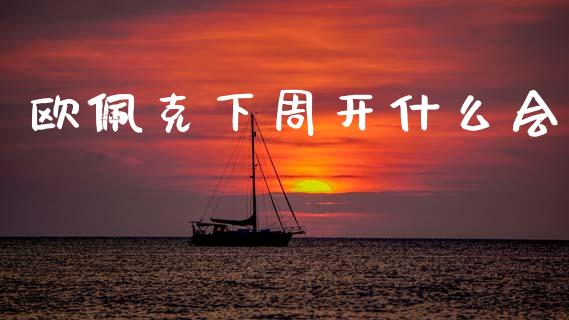 欧佩克下周开什么会_https://m.apzhendong.com_全球经济_第1张