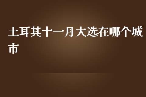 土耳其十一月大选在哪个城市_https://m.apzhendong.com_期货行情_第1张