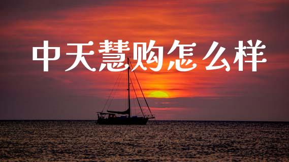 中天慧购怎么样_https://m.apzhendong.com_财经资讯_第1张