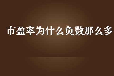 市盈率为什么负数那么多_https://m.apzhendong.com_期货行情_第1张