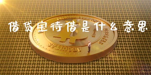 借贷宝待借是什么意思_https://m.apzhendong.com_财务分析_第1张