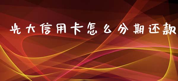 光大信用卡怎么分期还款_https://m.apzhendong.com_全球经济_第1张