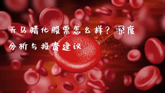 天马精化股票怎么样？深度分析与投资建议_https://m.apzhendong.com_财务分析_第1张