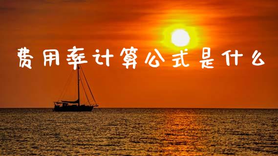 费用率计算公式是什么_https://m.apzhendong.com_财务分析_第1张