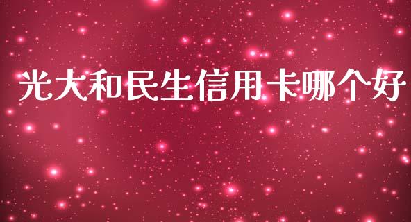 光大和民生信用卡哪个好_https://m.apzhendong.com_全球经济_第1张
