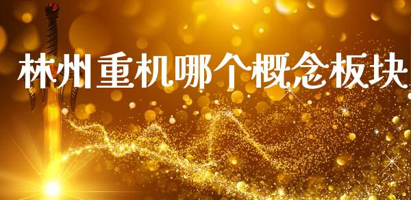 林州重机哪个概念板块_https://m.apzhendong.com_财务分析_第1张
