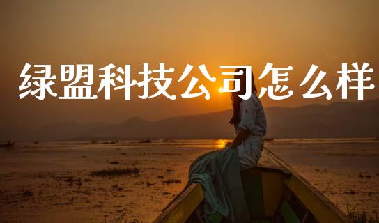 绿盟科技公司怎么样_https://m.apzhendong.com_财经资讯_第1张