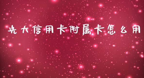 光大信用卡附属卡怎么用_https://m.apzhendong.com_期货行情_第1张