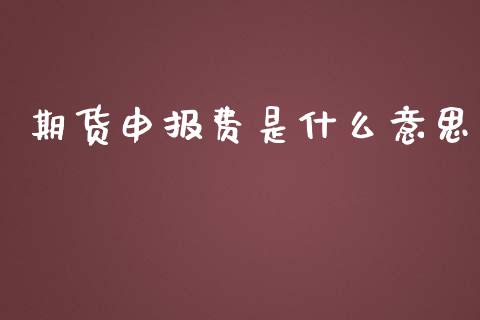 期货申报费是什么意思_https://m.apzhendong.com_财务分析_第1张