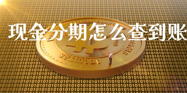 现金分期怎么查到账_https://m.apzhendong.com_全球经济_第1张