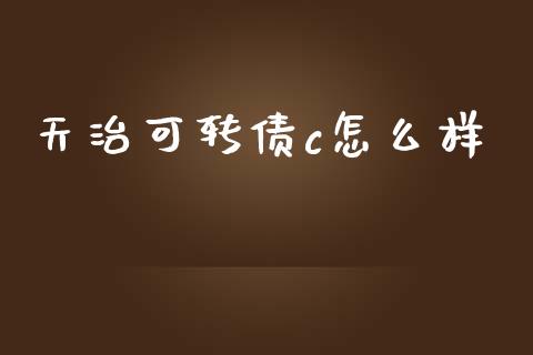 天治可转债c怎么样_https://m.apzhendong.com_财务分析_第1张