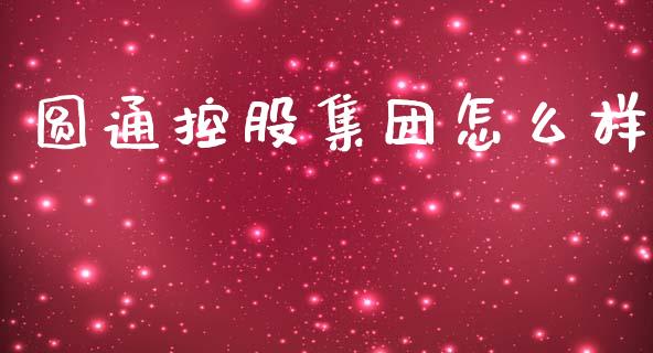 圆通控股集团怎么样_https://m.apzhendong.com_全球经济_第1张