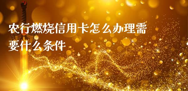 农行燃烧信用卡怎么办理需要什么条件_https://m.apzhendong.com_财务分析_第1张