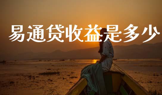 易通贷收益是多少_https://m.apzhendong.com_财务分析_第1张