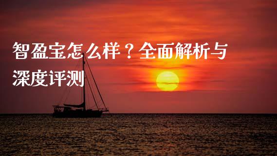 智盈宝怎么样？全面解析与深度评测_https://m.apzhendong.com_财务分析_第1张