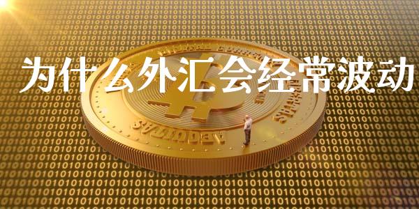 为什么外汇会经常波动_https://m.apzhendong.com_期货行情_第1张