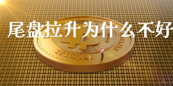 尾盘拉升为什么不好_https://m.apzhendong.com_全球经济_第1张