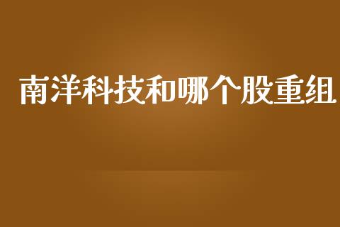 南洋科技和哪个股重组_https://m.apzhendong.com_财务分析_第1张