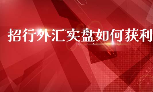 招行外汇实盘如何获利_https://m.apzhendong.com_期货行情_第1张