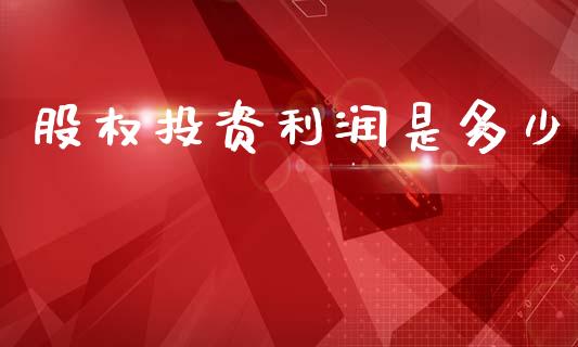 股权投资利润是多少_https://m.apzhendong.com_财务分析_第1张