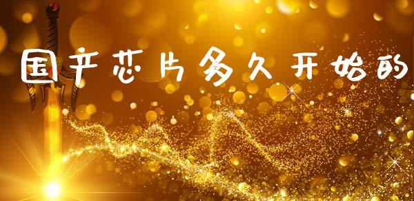 国产芯片多久开始的_https://m.apzhendong.com_财务分析_第1张