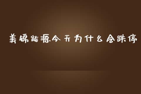 美锦能源今天为什么会跌停_https://m.apzhendong.com_全球经济_第1张